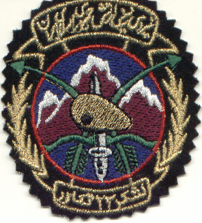 This image displays a military insignia . Copyrighting combatant identification and/or rank insignia violates international law; hence this image can not be copyrighted. This applies worldwide. Note that the use of such symbols is restricted in many countries independently of the copyright status. Please respect the law!