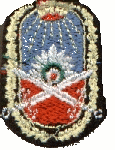 This image displays a military insignia . Copyrighting combatant identification and/or rank insignia violates international law; hence this image can not be copyrighted. This applies worldwide. Note that the use of such symbols is restricted in many countries independently of the copyright status. Please respect the law!