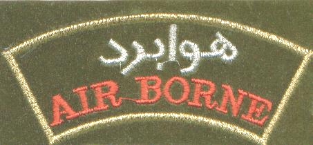 This image displays a military insignia . Copyrighting combatant identification and/or rank insignia violates international law; hence this image can not be copyrighted. This applies worldwide. Note that the use of such symbols is restricted in many countries independently of the copyright status. Please respect the law!