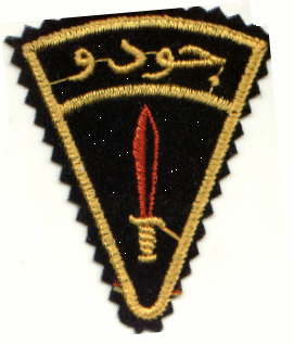 This image displays a military insignia . Copyrighting combatant identification and/or rank insignia violates international law; hence this image can not be copyrighted. This applies worldwide. Note that the use of such symbols is restricted in many countries independently of the copyright status. Please respect the law!