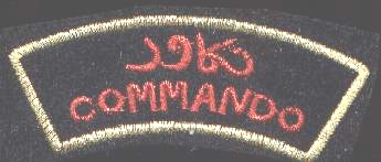 This image displays a military insignia . Copyrighting combatant identification and/or rank insignia violates international law; hence this image can not be copyrighted. This applies worldwide. Note that the use of such symbols is restricted in many countries independently of the copyright status. Please respect the law!