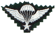 This image displays a military insignia . Copyrighting combatant identification and/or rank insignia violates international law; hence this image can not be copyrighted. This applies worldwide. Note that the use of such symbols is restricted in many countries independently of the copyright status. Please respect the law!