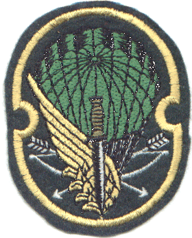 This image displays a military insignia . Copyrighting combatant identification and/or rank insignia violates international law; hence this image can not be copyrighted. This applies worldwide. Note that the use of such symbols is restricted in many countries independently of the copyright status. Please respect the law!