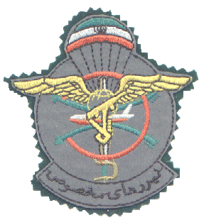This image displays a military insignia . Copyrighting combatant identification and/or rank insignia violates international law; hence this image can not be copyrighted. This applies worldwide. Note that the use of such symbols is restricted in many countries independently of the copyright status. Please respect the law!