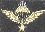 This image displays a military insignia . Copyrighting combatant identification and/or rank insignia violates international law; hence this image can not be copyrighted. This applies worldwide. Note that the use of such symbols is restricted in many countries independently of the copyright status. Please respect the law!