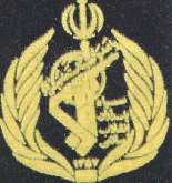 This image displays a military insignia . Copyrighting combatant identification and/or rank insignia violates international law; hence this image can not be copyrighted. This applies worldwide. Note that the use of such symbols is restricted in many countries independently of the copyright status. Please respect the law!